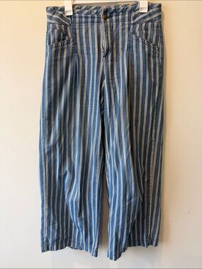 American Eagle Outfitters Blue and White Striped Wide Leg Pants